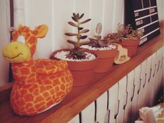 -长颈鹿咖啡(大学路店)