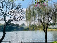 -东山湖公园