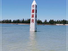 -东郊椰林