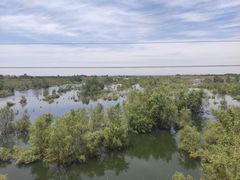 -黑河国家森林公园