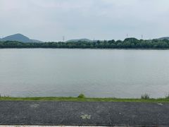 -羊山湖公园
