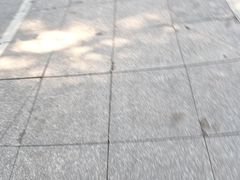 -索拉古贝(义乌北苑店)