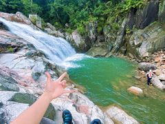 -海南霸王岭国家森林公园