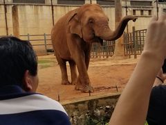-昆明动物园