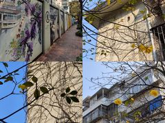 -人民公园(罗湖区)