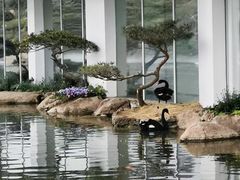 -罗红摄影艺术馆