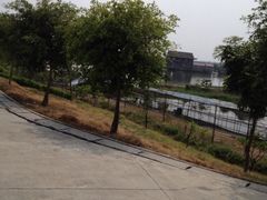 iphone_upload_pic-海鸥岛