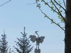 -丁香湖公园
