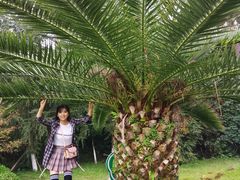 -铁山坪森林公园