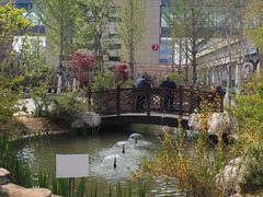 -山东省千佛山医院