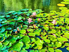 -国家植物园南园