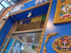 -金鼎雪山牦牛杂火锅(理县总店)