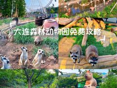 -大连森林动物园
