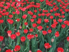 -长春公园(普阳街道)