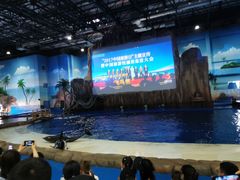 -华夏文旅海洋公园