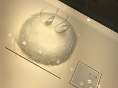-BLACKSWAN黑天鹅(环球店)
