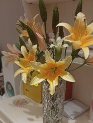 -北京俪婴妇产医院(朝阳大悦城店)