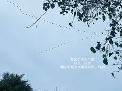 -厦门园林博览苑