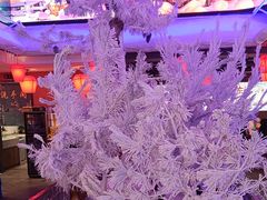 -山河屯铁锅炖鲜鹅·东北菜(开发区一店)