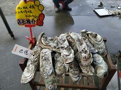 生蚝-蚝专家(北滘店)