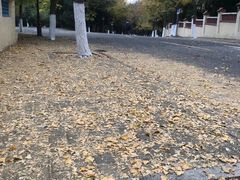 -八大关景区