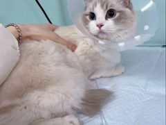 -达爱动物医院·犬猫分区·CT·复杂眼科(远洋山水分院)