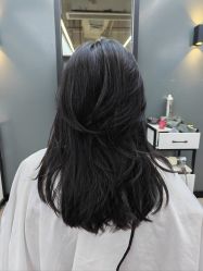 点击看大图 -藤野造型