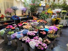 -双季花艺园艺市场(浦东店)