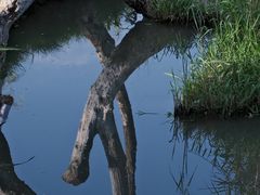 -捞渔河湿地公园