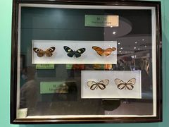 -上海昆虫博物馆