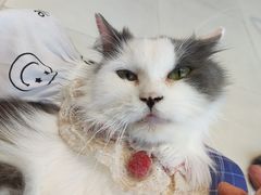 -怪兽屋·羊驼·猫咖·狗咖(俊华广场店)