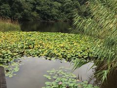 -天目湖山水园