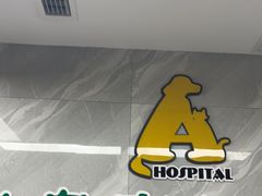 -半岛宠物医院24小时(白果林店)