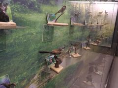 -下渚湖国家湿地公园科普馆