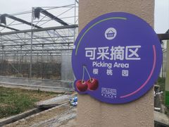 -菊园百果园