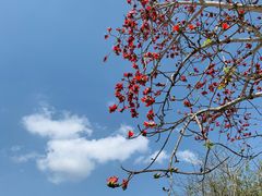 -三亚南山文化旅游区