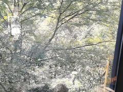 -WILDS 野有食(碧坞店)