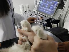 -心仪动物医院·牙专科·肿瘤·心脏科(西客站院)