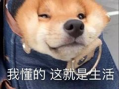 -串一火锅(赛格国际购物中心店)