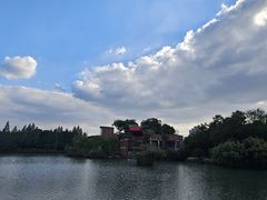 -青枫公园