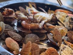 -日照灯塔风景区