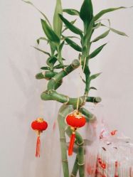 -杨丹国际美学肌研所