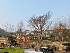 -三圣花乡旅游区