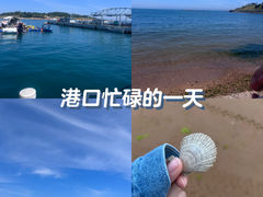 -小麦岛公园