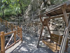 -大岭沟猕猴桃谷风景区