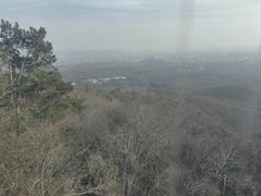 -紫金山山顶公园