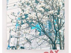 -陆家浜路(地铁站)