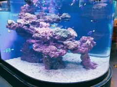 景点-上海海昌海洋公园