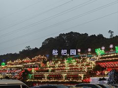-枇杷园食为鲜火锅(南山店)
