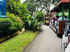 -新加坡飞禽公园